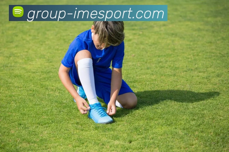 IM电竞平台生态图